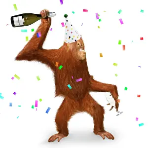 Utans: Orang utan with prosecco, party hat and confetti, dancing