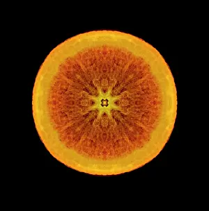 Feature Idea - Patterns In Nature: Orange