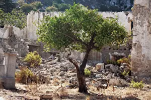 Rubble: Orange
