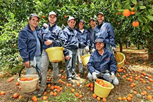 Workers: Orange