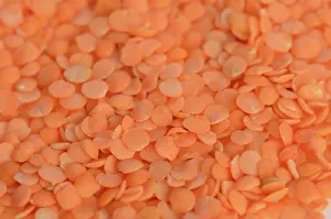 Lens: Orange Lentils