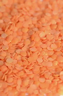 Lens: Orange Lentils