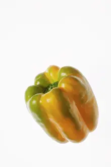 Peppers: Orange Pepper