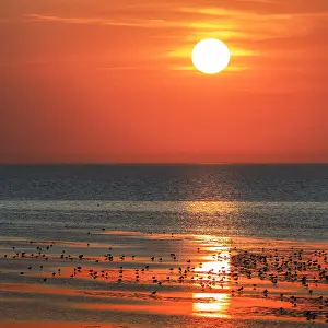 Cuxhaven: Orange-red sunset over the North Sea, Duhnen, Cuxhaven