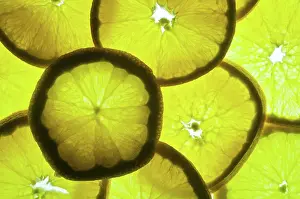 Slices: Orange Slices