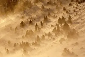Ordesa: Ordesa Valley - dust being blown