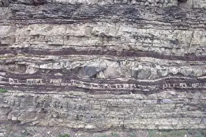 Cracks: Ordovician Sedimentary Strata