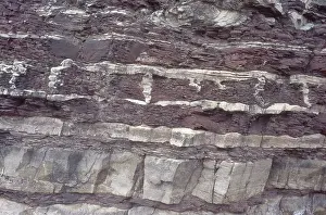 Crack: Ordovician Sedimentary Strata