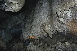 Curtains: Oregon Caves National Monument