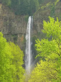 Oregon: Oregon, USA. Columbia River Gorge National Scenic Area