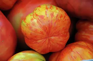 Pollinated: Organic Heirloom Tomatoes