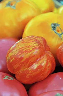 Pollinated: Organic Heirloom Tomatoes