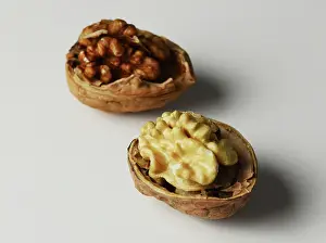 Juglans: An organic and a regular walnut
