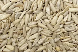 Annuus: Organic sunflower seeds