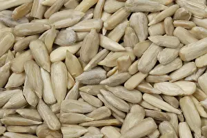 Annuus: Organic sunflower seeds