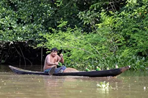 Orinoco: Orinoco Delta Warao Indian - Parrot Poaching in river canoe