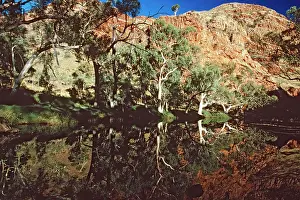 Macdonnell: Ormiston Gorge area West MacDonnell National Park