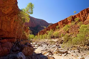 Towering: Ormiston Gorge - towering red cliff walls and a