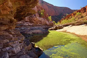 Towering: Ormiston Gorge - towering red cliff walls and a