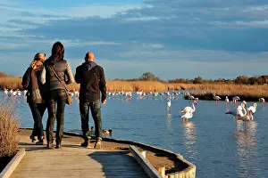 Created: the Ornithological park of Pont de Gau, created
