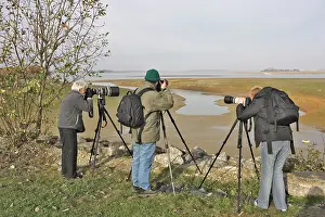 Birdwatchers: Ornithologist / Birdwatchers and photographers