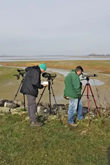 Birdwatchers: Ornithologist / Birdwatchers and photographers