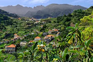 Berge: Ort Sao Roque do faial, Berge, Mispeln, Nordseite