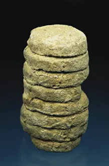 Ordovician: Orthoceras Fossil
