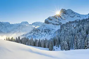 Foothills: Ortstock and Tndi, Glarus Alps, Switzerland, Europe