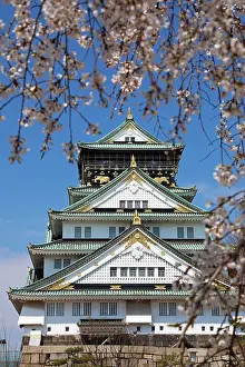 Viewing: Osaka Castle seen through the branches of flowering