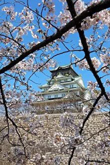 Viewing: Osaka Castle seen through the branches of flowering