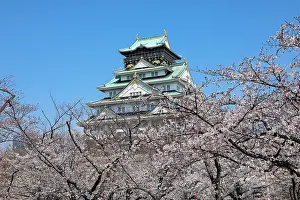Viewing: Osaka Castle seen through the branches of flowering