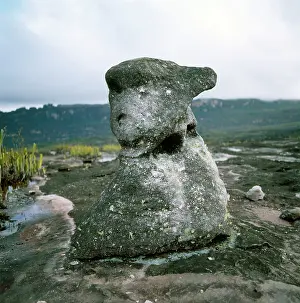 Auyantepui: Oso rock (the bear), Auyantepui summit (Devil's