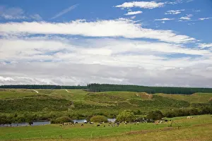 Christchurch: Otago, Christchurch, New Zealand. Scenic