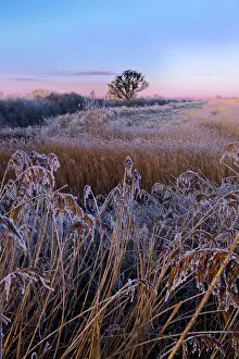 Rspb: Otmoor RSPB reserve - cold winter evening