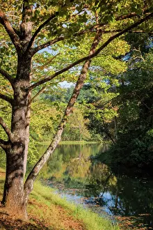 Virginia: Otter Lake, Blue Ridge Parkway, Smoky Mountains, USA