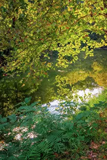 Virginia: Otter Lake, Blue Ridge Parkway, Virginia, USA