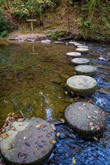 Crossing: Otter Lake Creek stepping stones, Blue Ridge Parkway
