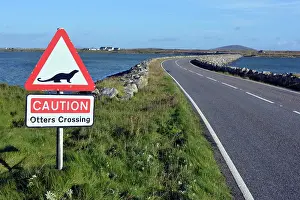 Signs: Otter, Road sign warning of otter crossing causeway