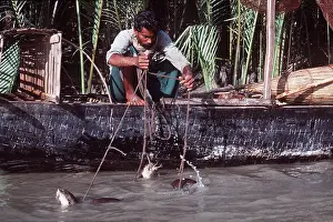 Fisherman: OTTER - tame, used for fishing