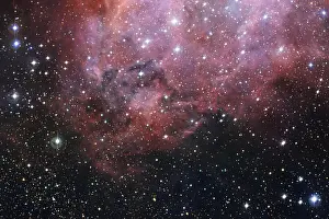 Starry: Outer space, cosmic landscape. Nebula. Elements