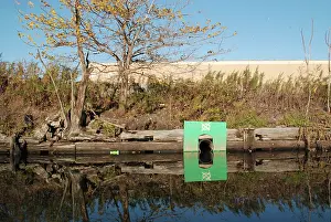 Pipe: Outlet Pipe, Newtown Creek Superfund Site, NYC