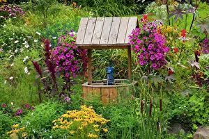 Idylls: Overgrown garden with flowers and wishing well