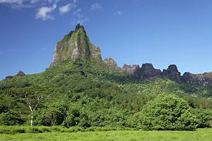 Overgrown: Overgrown green mountain range with highest peak