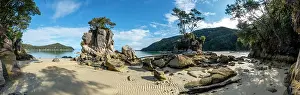 Abel: Overgrown rock on the beach of Stillwell Bay, Abel