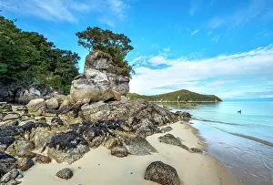 Abel: Overgrown rock on the beach of Stillwell Bay, Abel