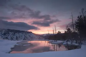 Mammoth: Overview of Canary Spring at dawn, USA, Wyoming