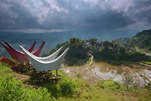Tana: Overview of highland showing terraces of rice fields and tra