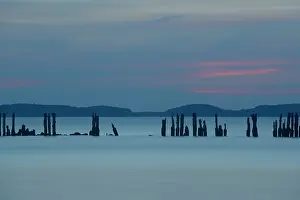 Shutter: Overview of a lake with wooden poles in the water after suns