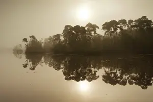 Bossen: Overview of the Oisterwijkse bossen en vennen during sunrise